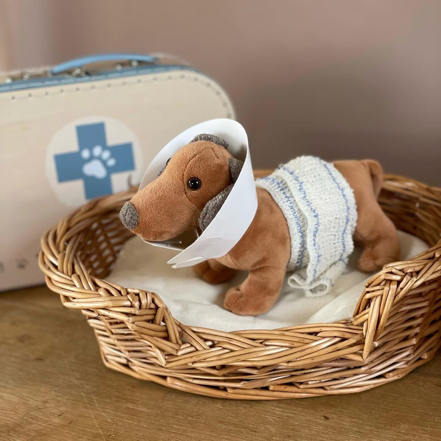 Hållbart veterinärset